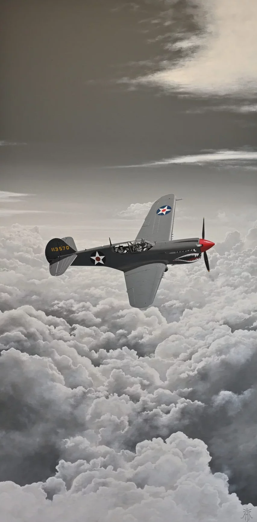 P40 Warhawk